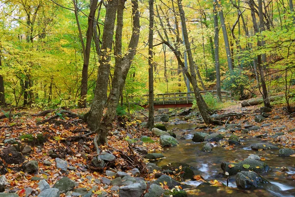 Ponte de madeira com folhagem de outono — Fotografia de Stock