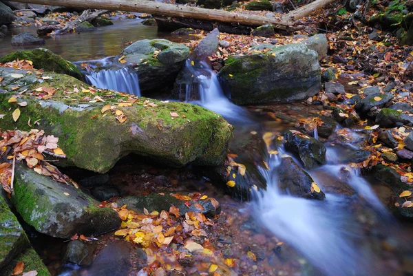 Primeros planos del arroyo de otoño —  Fotos de Stock