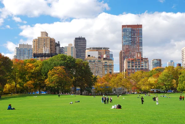 Центральный парк Нью-Йорка Манхэттен — стоковое фото