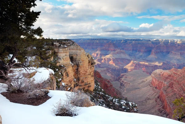 Άποψη πανοράματος Grand canyon το χειμώνα και με χιόνι — Φωτογραφία Αρχείου