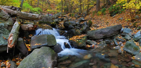 Arroyo de otoño en el bosque — Foto de Stock