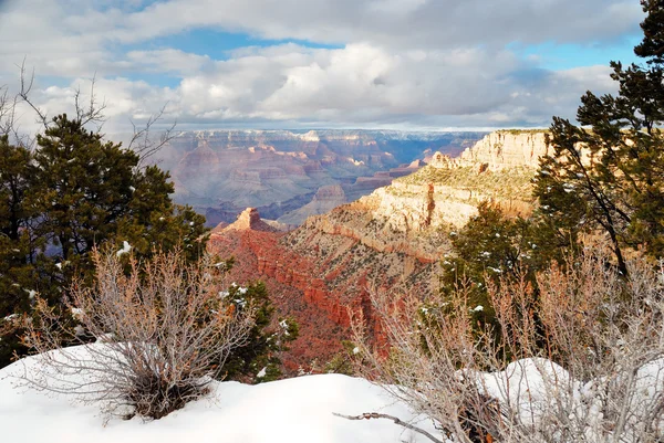 Grand Canyon Panoramablick im Winter mit Schnee — Stockfoto