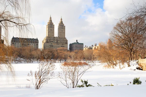 Нью-Йорк Манхеттені центральному парку в зимовий період — стокове фото