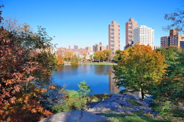 New York'taki central park sonbahar