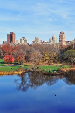 New York'taki central Park'ta sonbahar