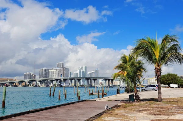 Miami cidade vista tropical — Fotografia de Stock