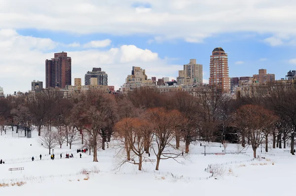 Центральный парк Манхэттена зимой — стоковое фото