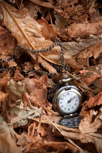 Horloge op Herfstbladeren — Stockfoto