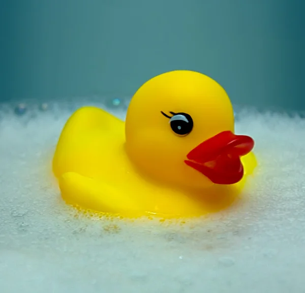 stock image Bathing duck