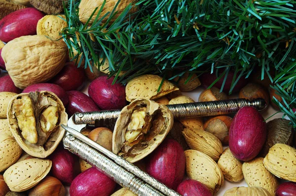 stock image Christmas Mixed Nuts with Nut Crackers