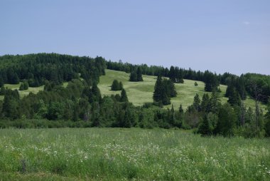 Yaz aylarında alanları