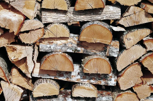 Stacked Fire wood — Stock Photo, Image