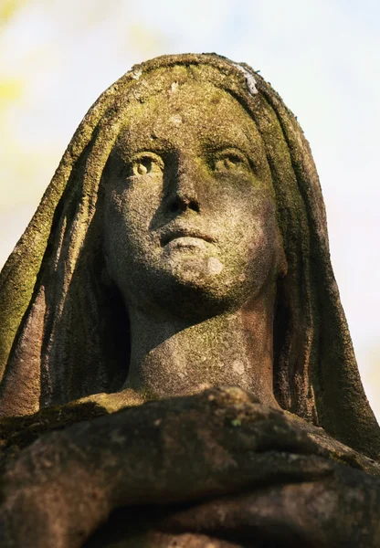 व्हर्जिन मेरीचा पुतळा — स्टॉक फोटो, इमेज