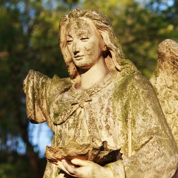 Фігура ангел — стокове фото