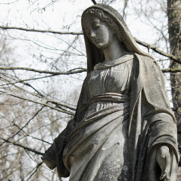 व्हर्जिन मेरीचा पुतळा — स्टॉक फोटो, इमेज