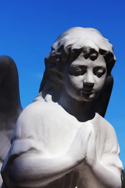 天使の図 — ストック写真