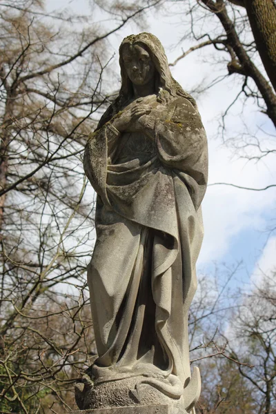 Szűz Mária szobra — Stock Fotó