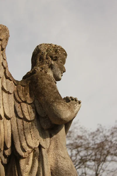 青い空に祈りの天使の姿 — ストック写真