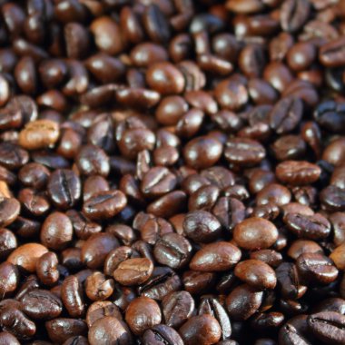 Coffee beans clipart