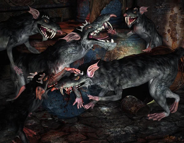 Ratos monstros combatentes — Fotografia de Stock