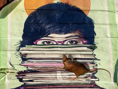 Woman with reading and rat clipart