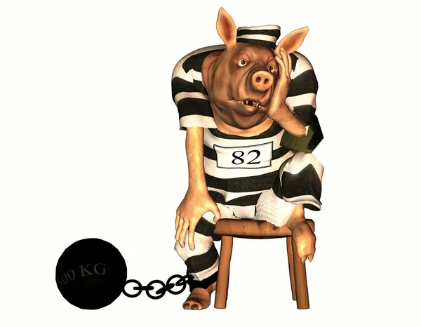 Prisoner pig — Stock Photo, Image