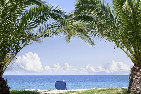 Zon bed onder de palmen op strand — Stockfoto