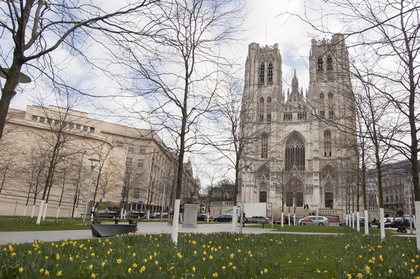 St michel katedralen, Bryssel, Belgien — Stockfoto