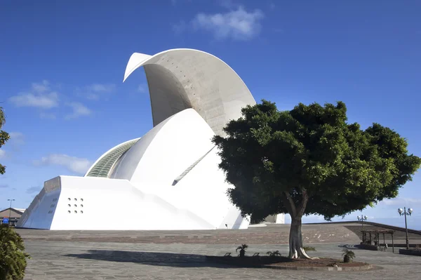 Auditório, Santa Cruz de Tenerife — Fotografia de Stock