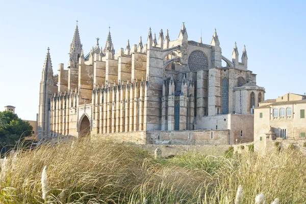 Kathedrale von Palma de Mallorca — Stockfoto