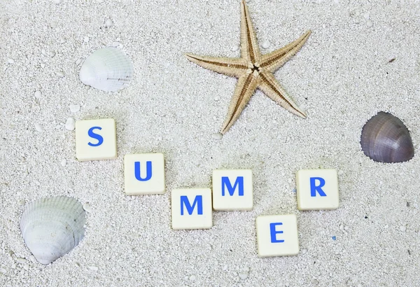 Summer concept — Stock Photo, Image