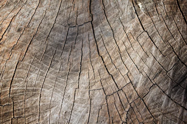 Vintage wooden surface — Stock Photo, Image