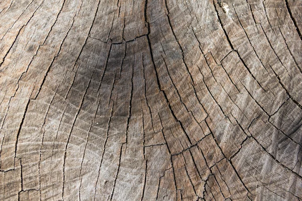 Винтажная деревянная поверхность — стоковое фото