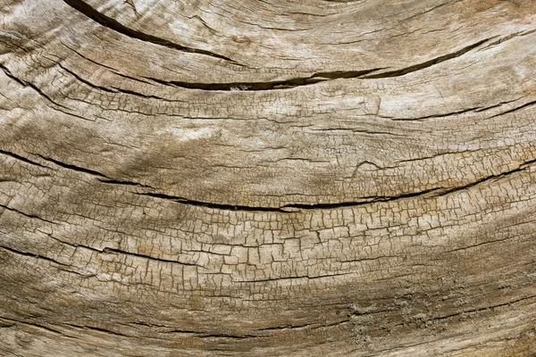 Vintage wooden surface — Stock Photo, Image