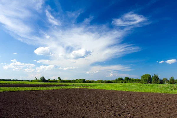 Champ labouré et ciel bleu — Photo