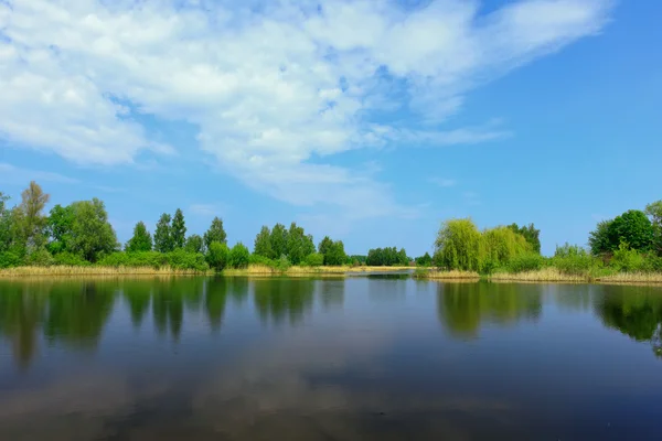 Paisagem de verão com um lago — Fotografia de Stock