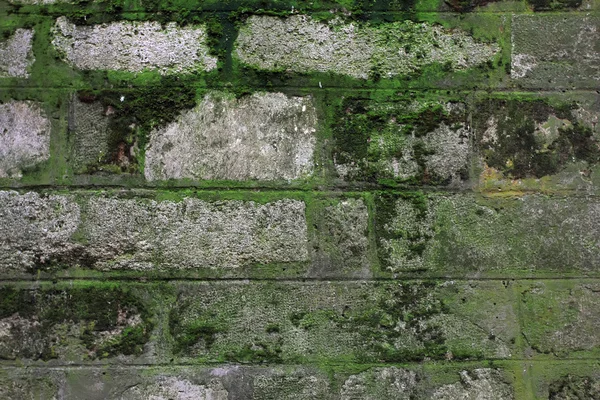 La pared de piedra cubierta de musgo —  Fotos de Stock