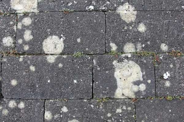 Antigua superficie de piedra — Foto de Stock