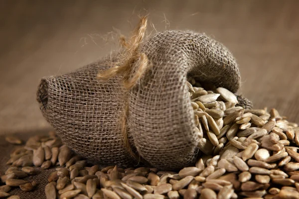 Мелкий мешок с семенами — стоковое фото