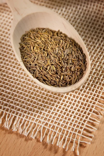 印度小茴香 — 图库照片