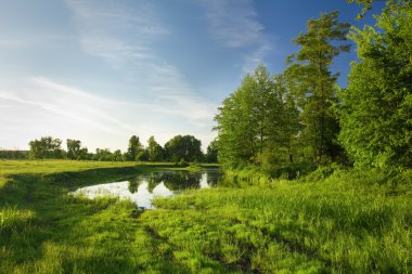 Forest lake near the green meadow clipart