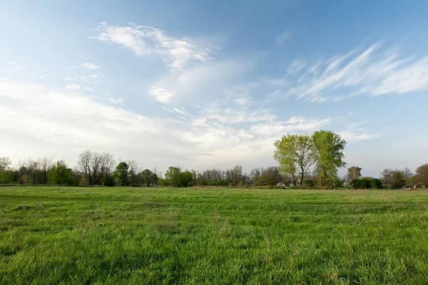 Green pasture and blue sky — Stock Photo, Image