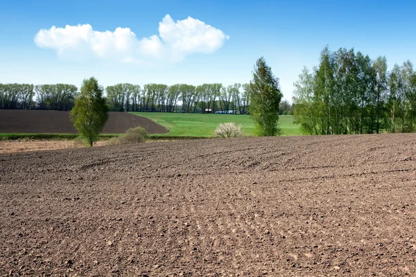 Plowed field and blue sky — Stock Photo, Image