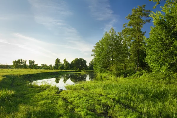 Lago da floresta perto do prado verde — Fotografia de Stock