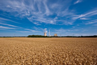 grainfield ve güç tesisi