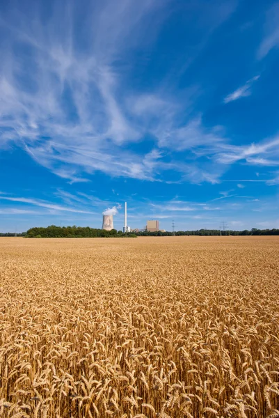 stock image Grainfield and power plant