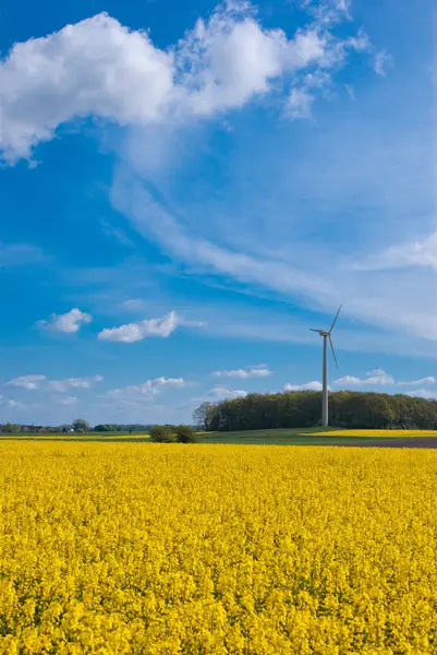 Raiskauskenttä ja tuuliturbiini — kuvapankkivalokuva