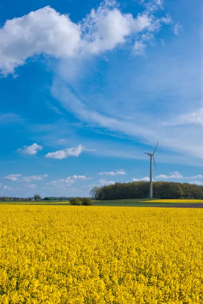 Campo de estupro e turbina eólica — Fotografia de Stock