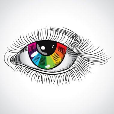 Color Eye clipart