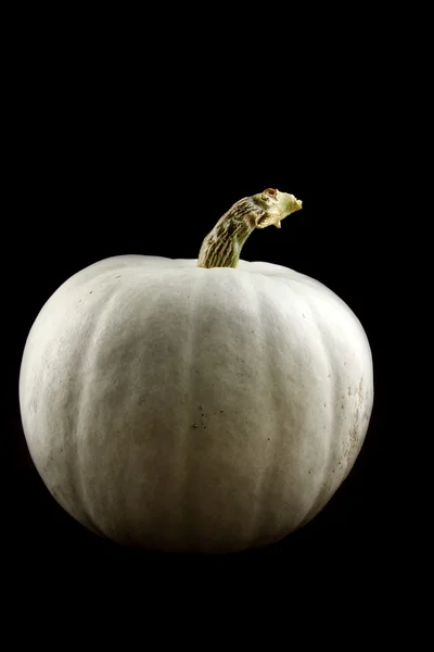 Pumpkin — Stock Photo, Image